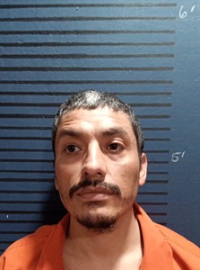 Mendiola-Garza, Alejandro 