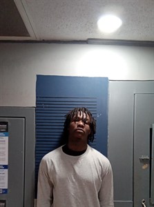 Allison, Kylean Dandrea