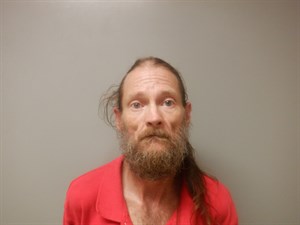 Cook, Shannon Ashley